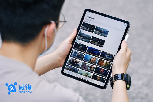 ipad pro 2020 图赏 不设限 的产品,如今更完整