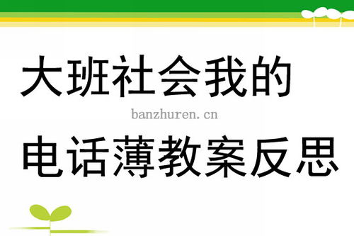 大班社会 我的电话薄 教案反思